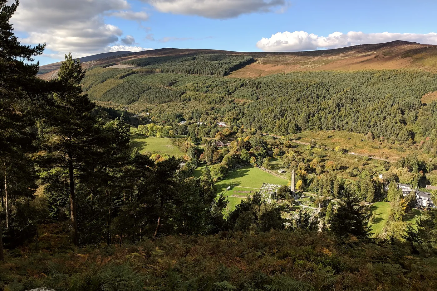 The green valley at Glendalough seen through pine trees, with the round tower and the old churchyard below