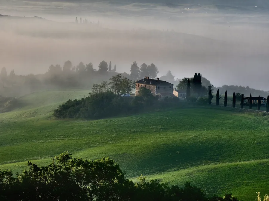 A stone farmhouse and a row of cypress trees on a green Tuscan hillside, with morning mist in the valley