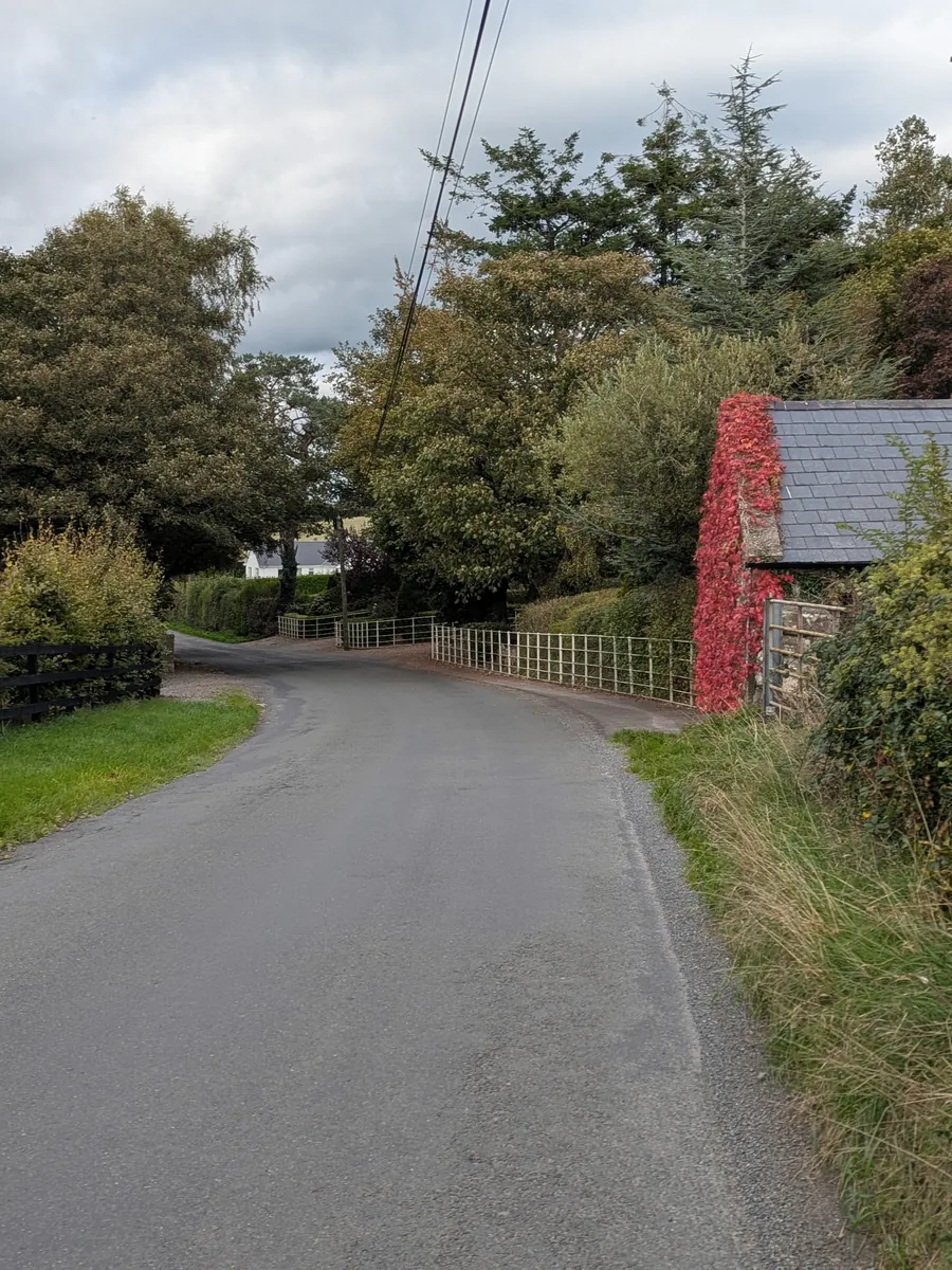 A quiet lane under autumn trees, with a stone cottage covered in red creeper at the bend